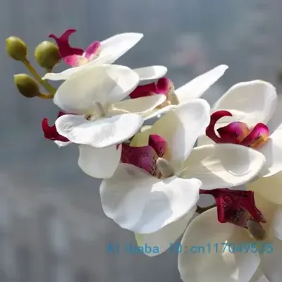 InjFlower-Orchidée Papillon Artificielle 1 Tige pour Nouvelle Maison Décoration de Festival de