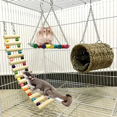Hamac pour animaux de compagnie 3 pièces tunnel de balançoire échelle de lit hamster Srel