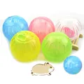 Boule de jogging en plastique pour hamster et rat gerbille mini exercice mignon fournitures