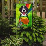 The Holiday Aisle® Arella St. Patrick's Day 2-Sided Garden Flag, Polyester | 15 H x 11 W in | Wayfair 10BF18978FA54BBABCF31AA780358C3F