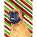 The Holiday Aisle® Candy Cane Holiday Christmas House Vertical Flag, Polyester in Orange/Red/Green | 40 H x 28 W in | Wayfair