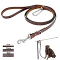 Laisse pour chien Pitbull en cuir durable avec structure d'alpinisme laisses pour animaux de