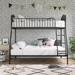Novogratz Bushwick Twin Over Full Standard Bunk Bed Metal in Black | 70 H x 56 W x 77 D in | Wayfair 4569619N