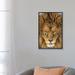 East Urban Home Serious Lion by Mike Centioli - Photograph Print Canvas in Brown | 26 H x 18 W x 1.5 D in | Wayfair