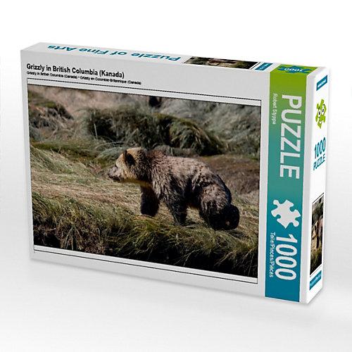 Puzzle CALVENDO Puzzle Grizzly in British Columbia (Kanada) - 1000 Teile Foto-Puzzle glückliche Stunden Kinder