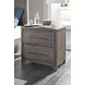 Hearst Solid Wood Two Drawer Nighstand in Sahara Tan - Modus 6VF381