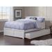 Fender Solid Wood Bed w/ Trundle by Harriet Bee Wood in White | 37.25 H x 64.625 W x 82.375 D in | Wayfair 6F06E2E124A5436FB6592C6C8FF6AD6B