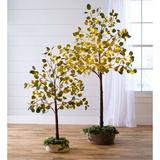 Plow & Hearth Small Lighted 50" Artificial Eucalyptus Tree Plastic | 50 H x 38.5 W x 38.5 D in | Wayfair 65K97