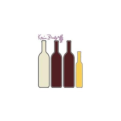 Kevin Zraly's One Hour Bordeaux Wine Expert Tasting Kit - France