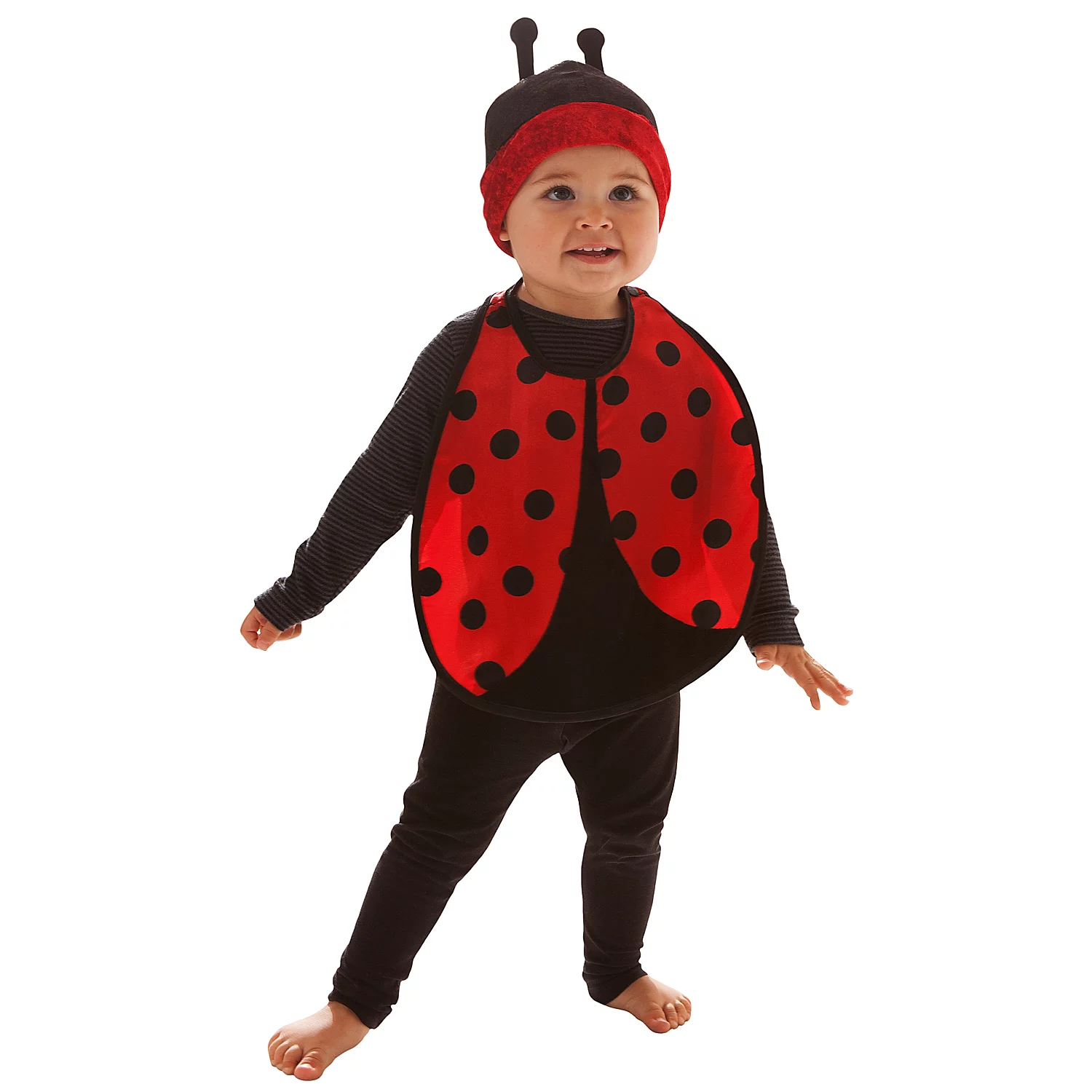 Kit d'accessoires "mini-coccinelle