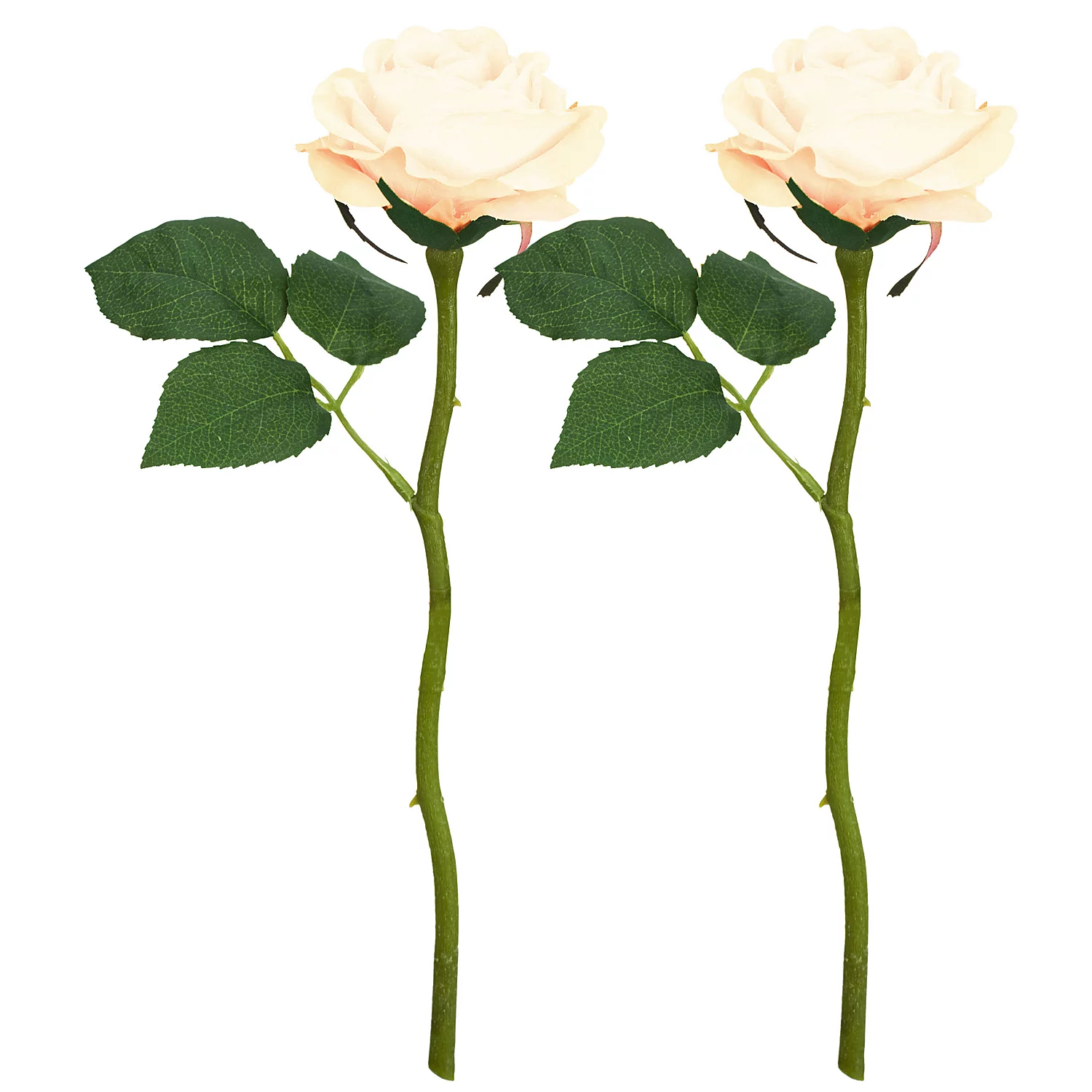 Rosen, weiß, 30 cm, 2 Stück Image
