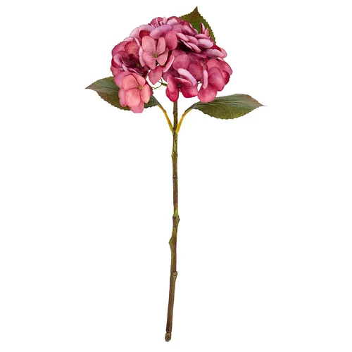Hortensie, rose, 45 cm