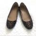 J. Crew Shoes | J Crew Patent Leather Animal Print Flats | Color: Black/Brown | Size: 8