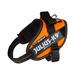 UV Orange Dog Harness, X-Small