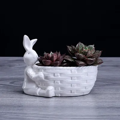 Pot de plante succulente en porcelaine figurine de lapin céramique de bureau décorative