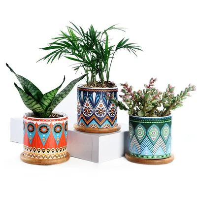 Ensemble de 3 pots de plantes succulentes vases ronds de 3.15 pouces jardinières en céramique avec