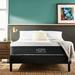 Twin Medium 12" Hybrid Mattress - Hope Dream | 80 H x 76 W 12 D in Wayfair HM12H-TXL