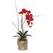 Primrue Faux Flower Arrangement Orchid in Pot Plastic/Polysilk in Red | 5.5 H x 5.5 W x 5.5 D in | Wayfair A4A88380503B493BA3E8CA072BF0D797