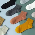 3 paires/ensemble de chaussettes en coton pour femmes nouvelles chaussettes de mode décontractées