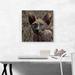 ARTCANVAS Sphynx Cat Breed - Wrapped Canvas Graphic Art Print Canvas, Wood in Brown/Gray | 18 H x 18 W x 1.5 D in | Wayfair ACICAT161-1L-18x18