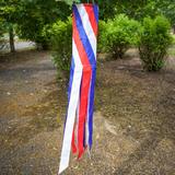 Arlmont & Co. Rainbow Diagonal Windsock Metal in Red/Blue/White | 40 H in | Wayfair F481FCD7D6D24BFEA5BC90C266845E67