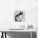 ARTCANVAS Siamese Cat Breed - Wrapped Canvas Graphic Art Print Canvas, Wood in Black/Gray/White | 12 H x 12 W x 0.75 D in | Wayfair