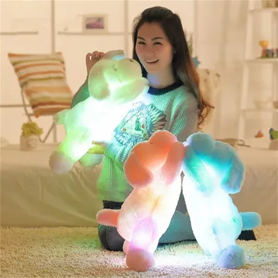 Chien en peluche Shoous coloré avec lumière LED pour enfants oreiller en peluche coussin jouets