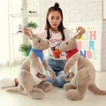 Nouveau jouet en peluche mignon Animal kangourou peluche douce remplie de bébé décoration de