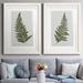 Bay Isle Home™ Fern Studies I - 2 Piece Painting Print Set Paper in Green | 31 H x 44 W in | Wayfair 72BFFC7514F2430192C6577847E8FA71