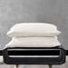 Joss & Main Laflin Tencel Sateen Pillowcase Case Pack Tencel in White | Standard | Wayfair CF56BEB15CAA48B4A675B26EBC407531