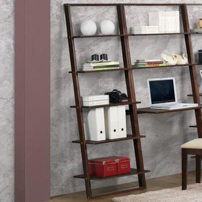 Arlington Wall Bookcase by 4D Concepts in Cappuccino