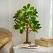 23"H Pre-Lit Tabletop Ficus Tree by BrylaneHome in Green Artificial Tree