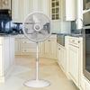 Lasko 18" Oscillating Pedestal/Standing Fan in White | 18 H x 20.5 W x 20.5 D in | Wayfair 1820