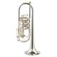 Gerd Dowids BZ-Series C-Trumpet Special