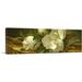 ARTCANVAS Magnolias on Gold Velvet Cloth by Martin Johnson Heade - Wrapped Canvas Panoramic Painting Print Canvas in White | Wayfair