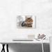 ARTCANVAS Maine Coon Male Cat Home Decor - Wrapped Canvas Photograph Print Canvas in Brown/White | 12 H x 18 W x 0.75 D in | Wayfair