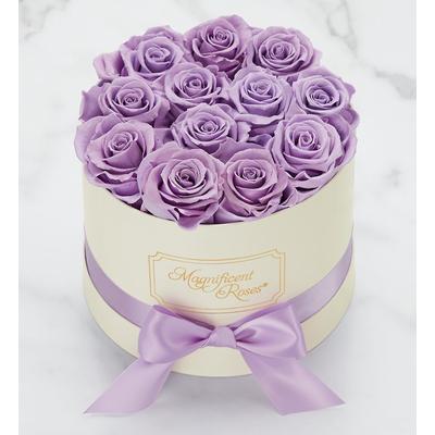 Magnificent Roses® Preserved Lavender Dream Preserved Roses- Lavender One Dozen by 1-800 Flowers