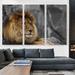 ARTCANVAS Lion Resting Under the Tree - 3 Piece Wrapped Canvas Print Set Canvas, Wood in Gray/Yellow | 60 H x 90 W x 1.5 D in | Wayfair