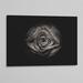 Ebern Designs Backyard Flowers in Black & 74 by Brian Carson - Photograph Print on Canvas Canvas, Latex in White | 24 H x 36 W x 1.5 D in | Wayfair