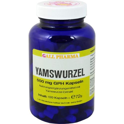 Hecht-Pharma – YAMSWURZEL 500 mg GPH Kapseln Mineralstoffe