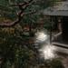 Techko Solar Minimalist Zen LED Outdoor Lantern Japanese Style in Brown | 33.4 H x 9.45 W x 9.45 D in | Wayfair SJL-623
