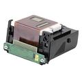 ASHATA QY6-0068 Print Head for Canon PIXMA IP100 IP110, Replacement Color Printhead Print Head for Canon PIXMA IP100 IP110 Printer Scanner