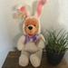 Disney Toys | Disney’s Winnie The Pooh In Easter Bunny Costume | Color: Pink/Purple | Size: 12”