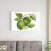 August Grove® Citrus Garden IV by Kathleen Parr McKenna - Wrapped Canvas Painting Print Canvas in White | 24 H x 36 W x 1.25 D in | Wayfair