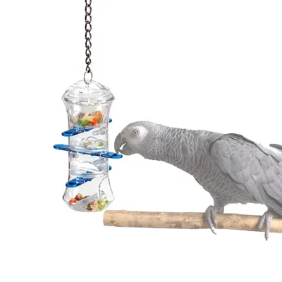 CAITEC – jouets pour perroquets porte-friandises interactif résistant aux morsures jouets pour