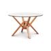 Copeland Furniture Exeter Round Glass Top Table Wood/Glass in Brown | 30 H x 48 W x 48 D in | Wayfair 6-EXE-34-03