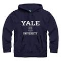 Ivysport Hoodie Sweatshirt, Premium Cotton, Classic Arch with University Crest Logo - Blue - Medium