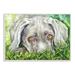 Winston Porter Weimaraner Puppy Dog Resting In Grass Canvas in Green | 10 H x 15 W x 0.5 D in | Wayfair 71871415C3414053847B683C42E2749C