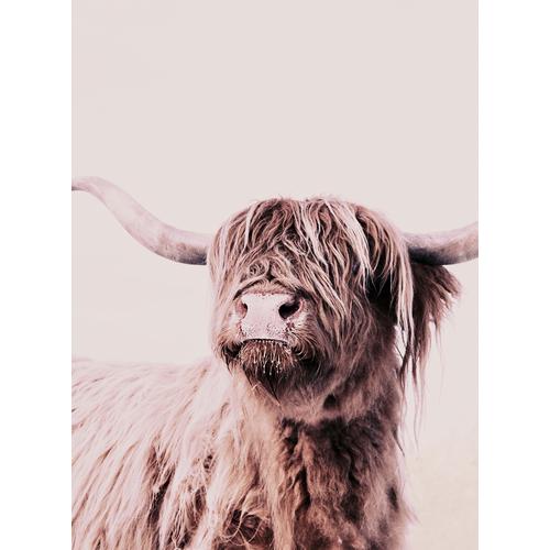living walls Fototapete ARTist Highland Cattle, Hochland Rind, Vlies, glatt braun Fototapeten Tapeten Bauen Renovieren