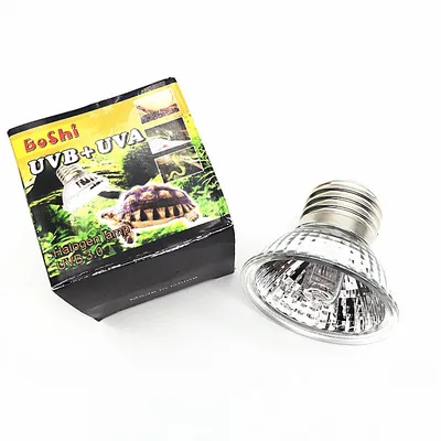 Lampe de reptile 25/50/75W UVA + Uremboursable 3.0 ampoule chauffante pour animaux de compagnie